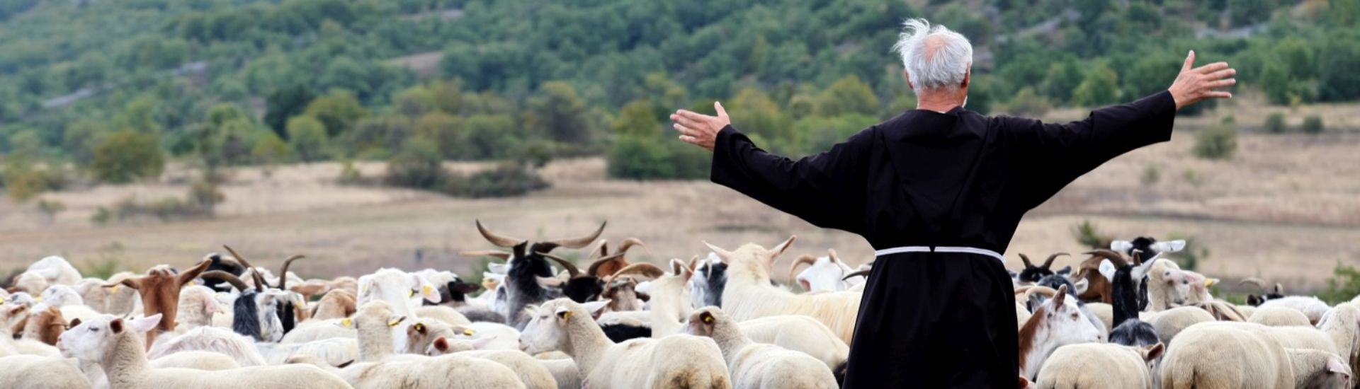 pastore e pecore