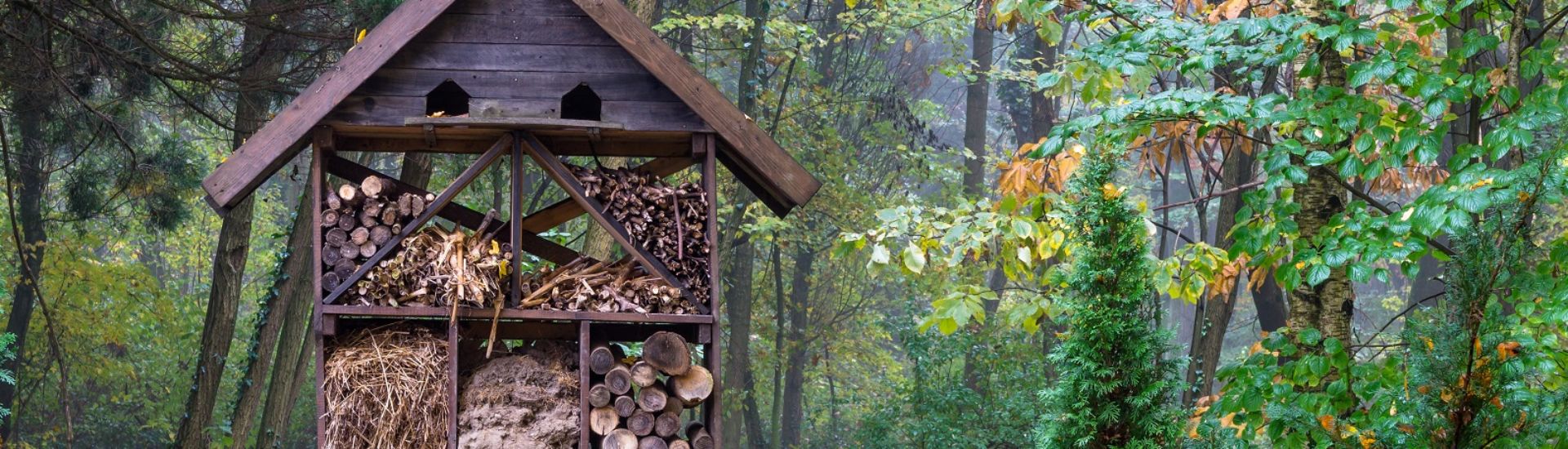 Wooden insect hotel, shelter for wild insects in forest reserve