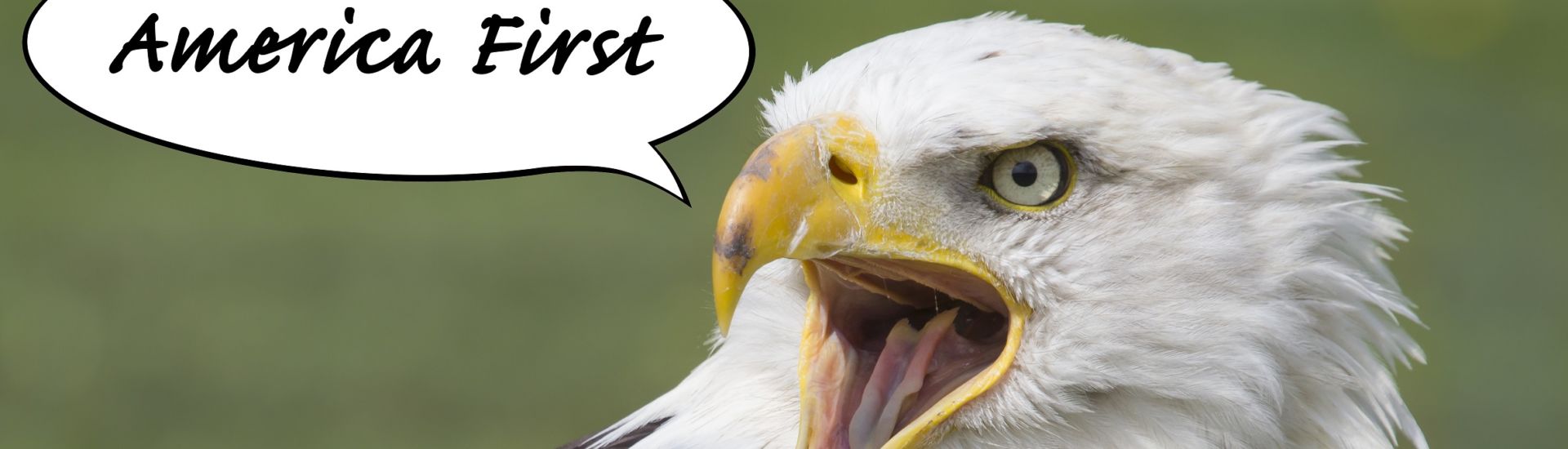 america´s first eagle