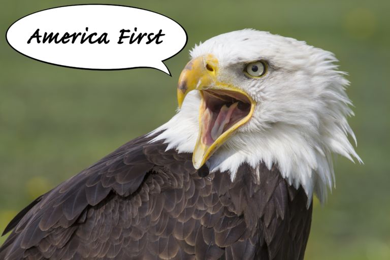 america´s first eagle