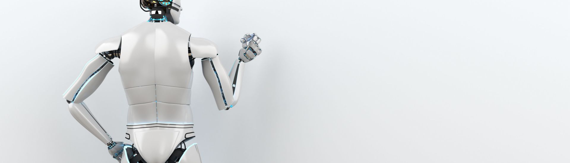 Humanoid Robot Advisor