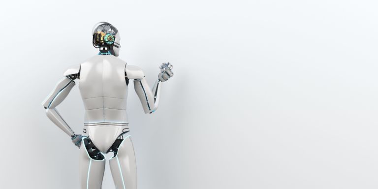 Humanoid Robot Advisor