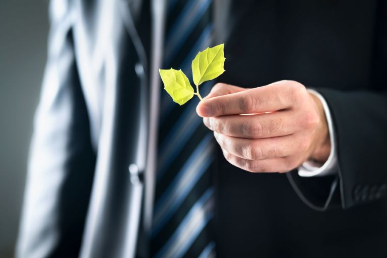 Environmental lawyer or politician with nature and environment friendly values. Business man in suit holding green leafs. Sustainable development, climate change, global warming and conservation.