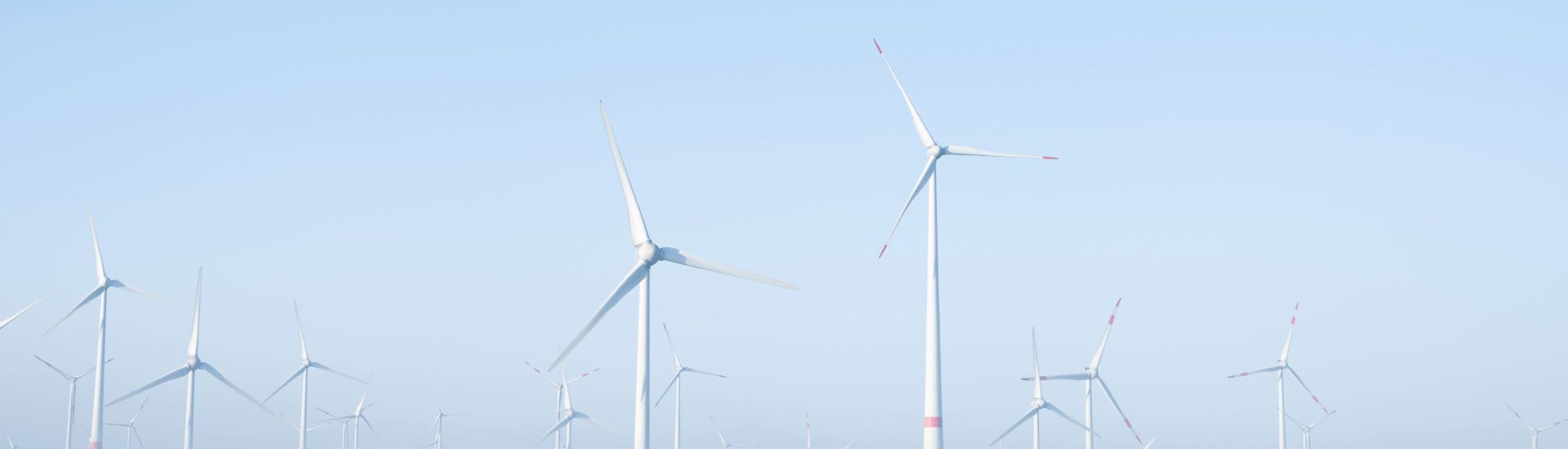 farmer mows grass near wind turbine farm in oastfriesland on misty summer morning