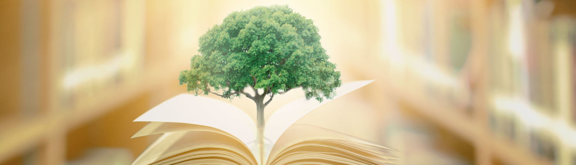 education concept with tree of knowledge planting on opening old big book in library with textbook, stack piles of text archive and aisle of bookshelves in school study class room