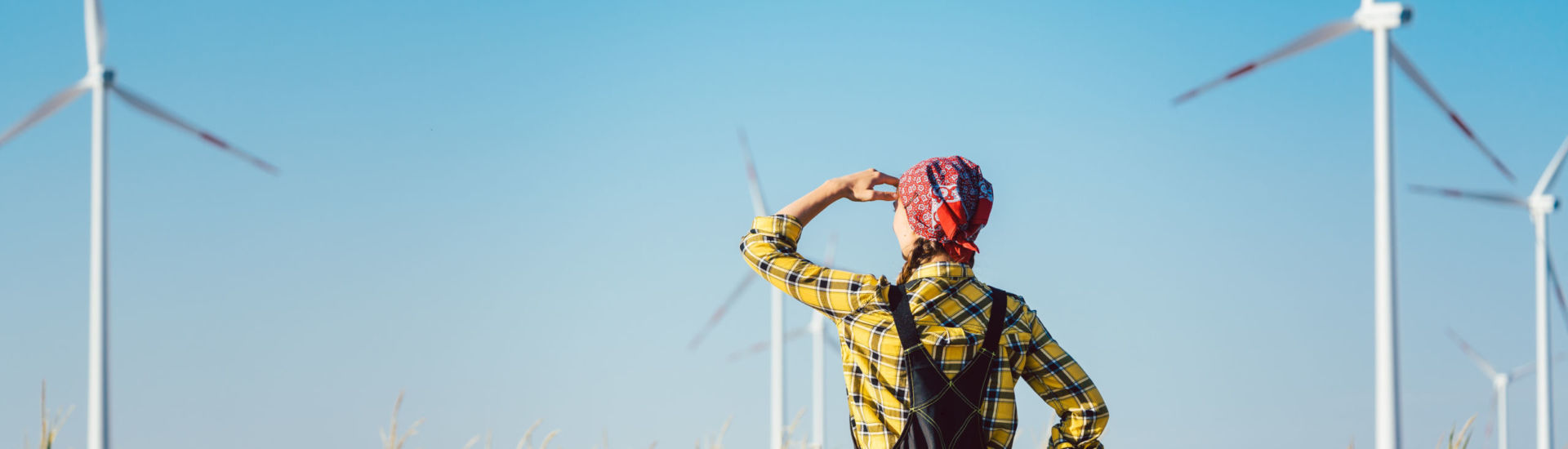 Farmer woman has invested not only in land but also wind energy