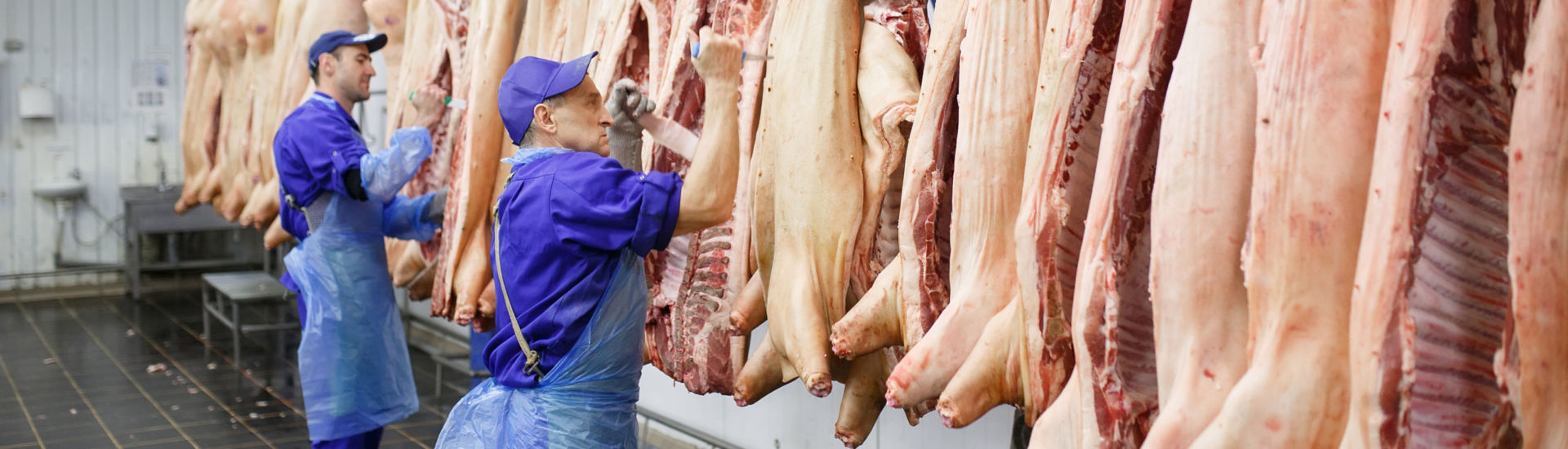 Butcher cutting pork  at the meat manufacturing.