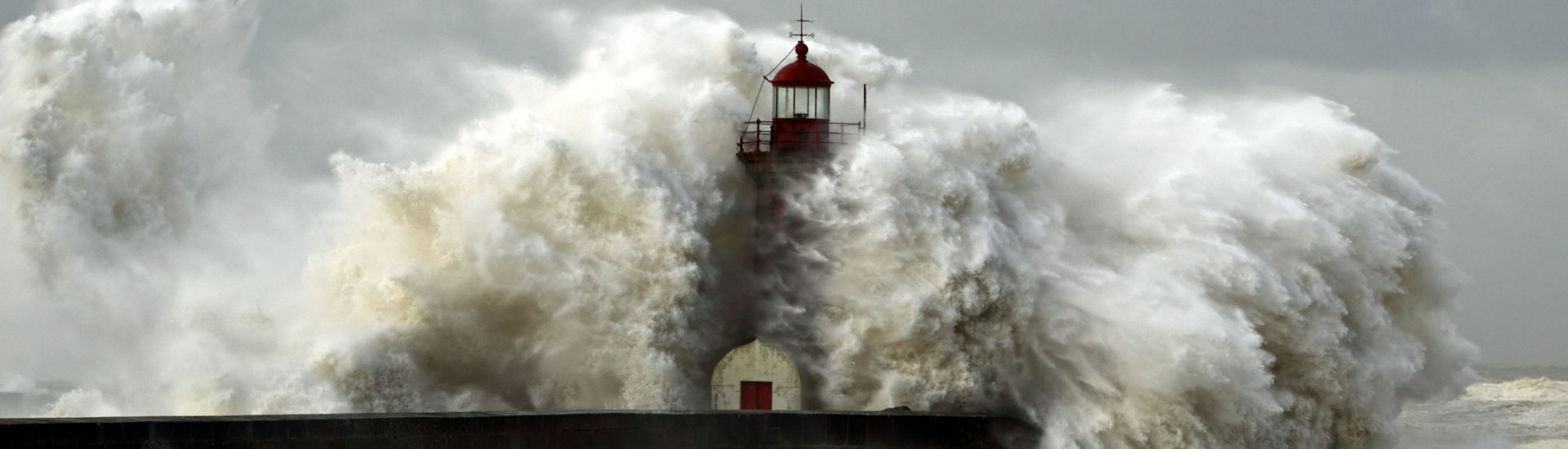 Windy Coast