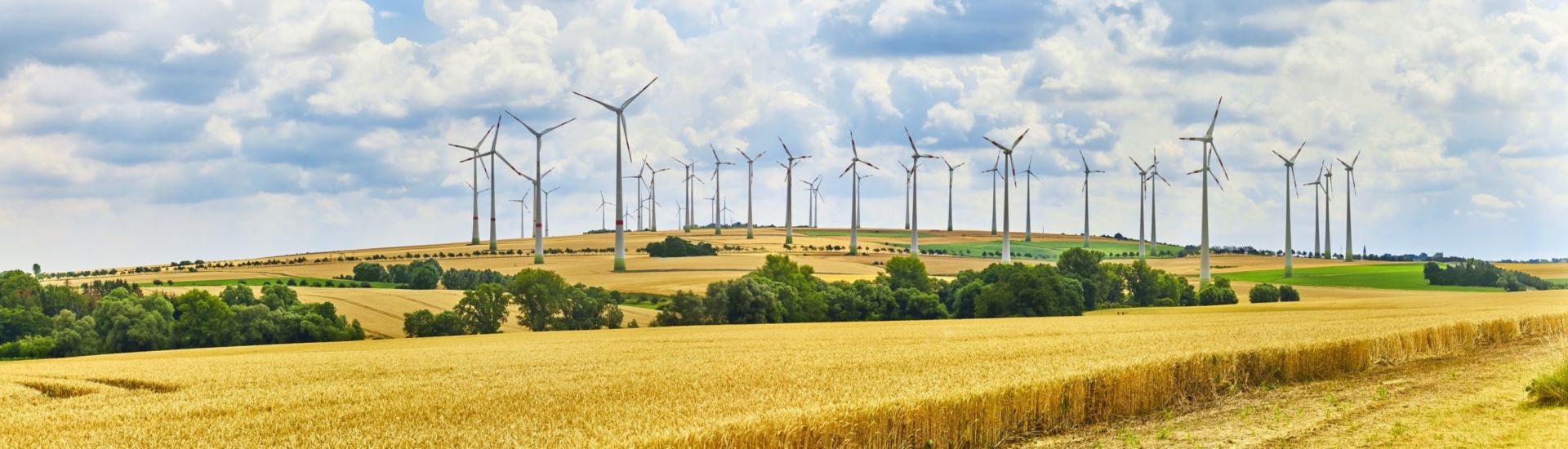 A big wind farm in north Germany
