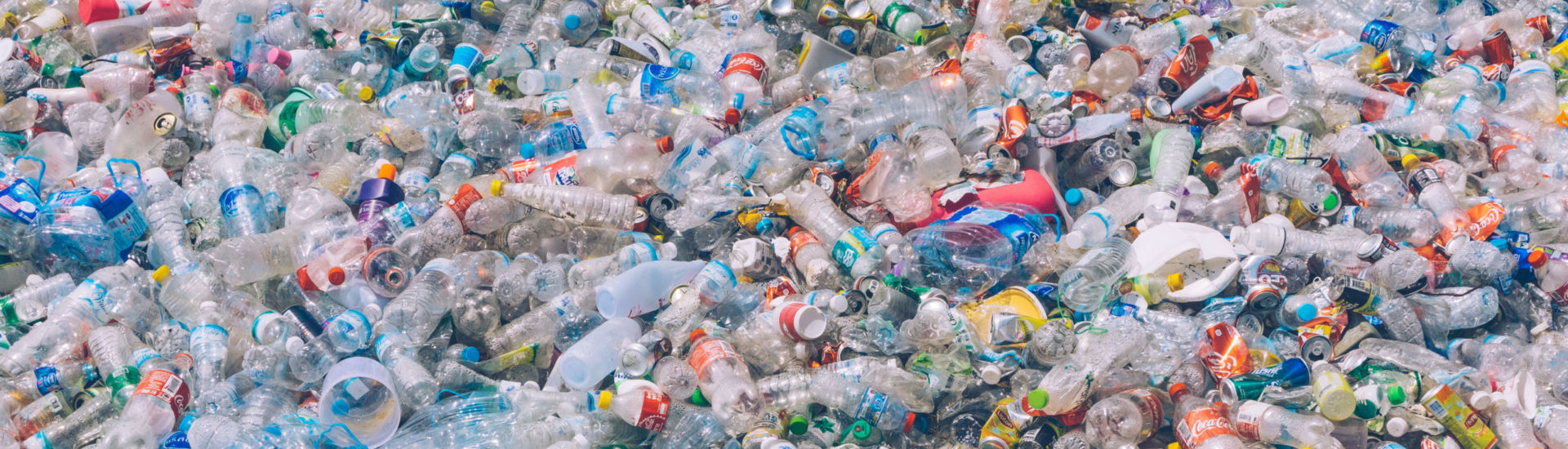 PLASTIC POLLUTION in the jungle. Dirty plastic bottles and bags