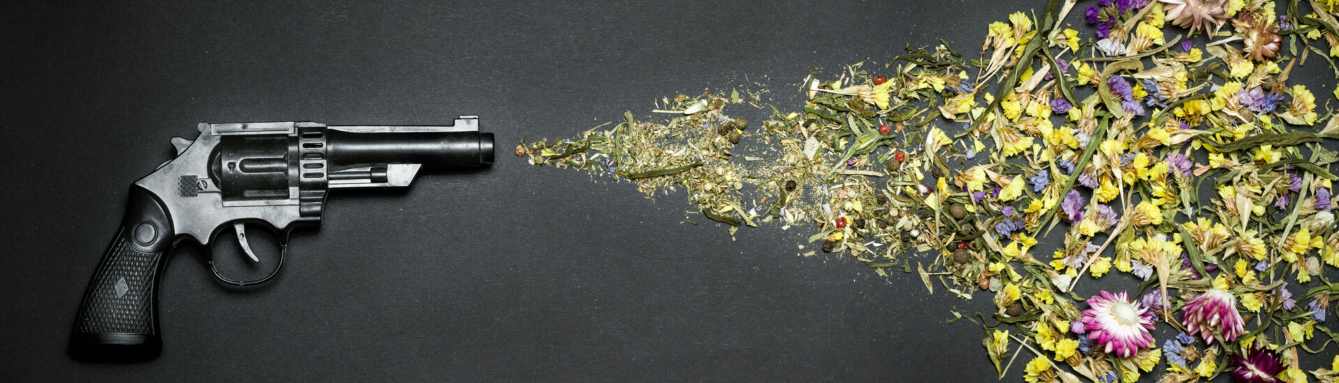 Gun shooting flowers on a black background. The concept of peace