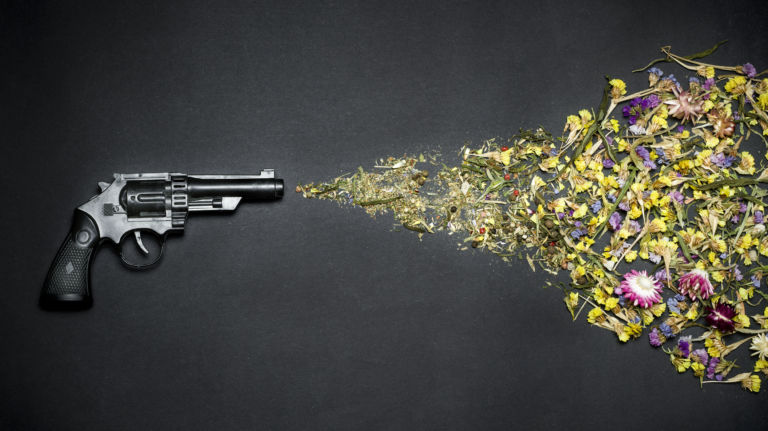 Gun shooting flowers on a black background. The concept of peace