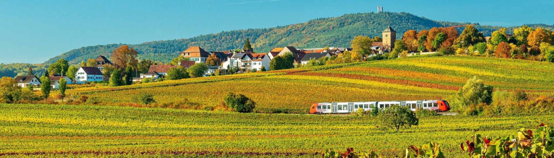 öffentlicher Nahverkehr bei Herxheim am Berg mit Weinbergen im