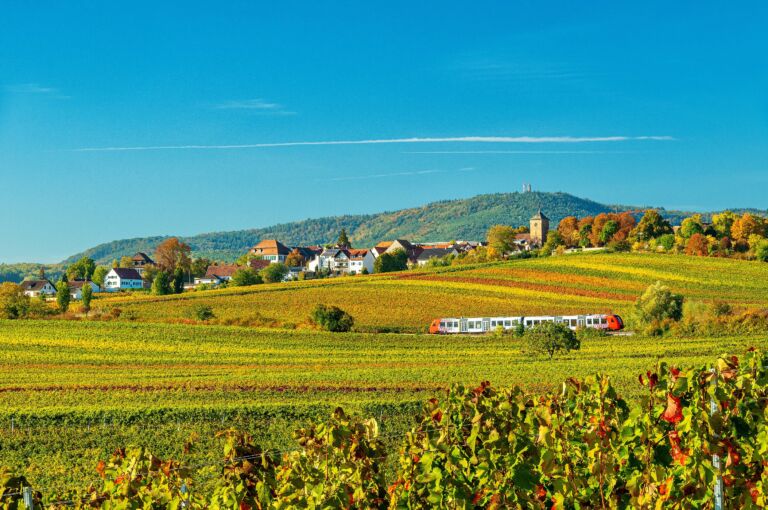 öffentlicher Nahverkehr bei Herxheim am Berg mit Weinbergen im