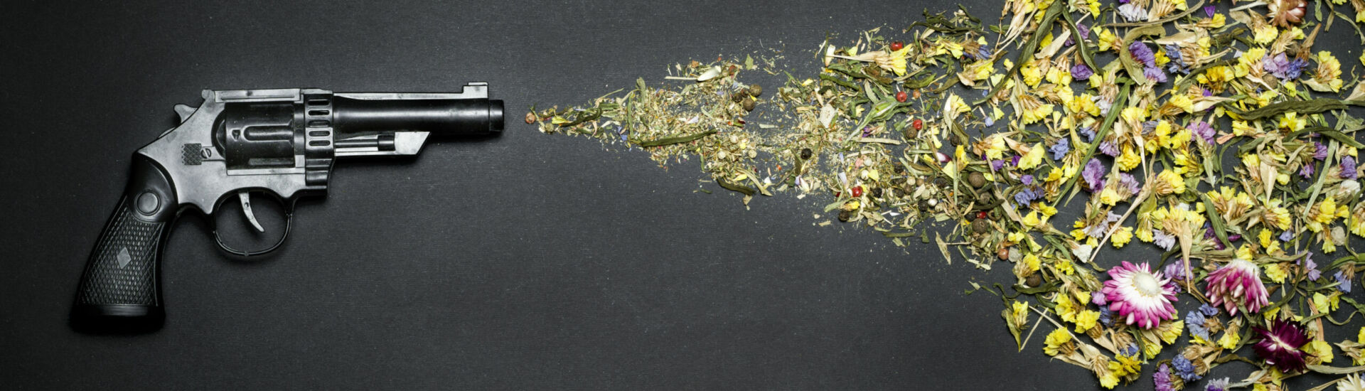 Gun shooting flowers on a black background. The concept of peace
