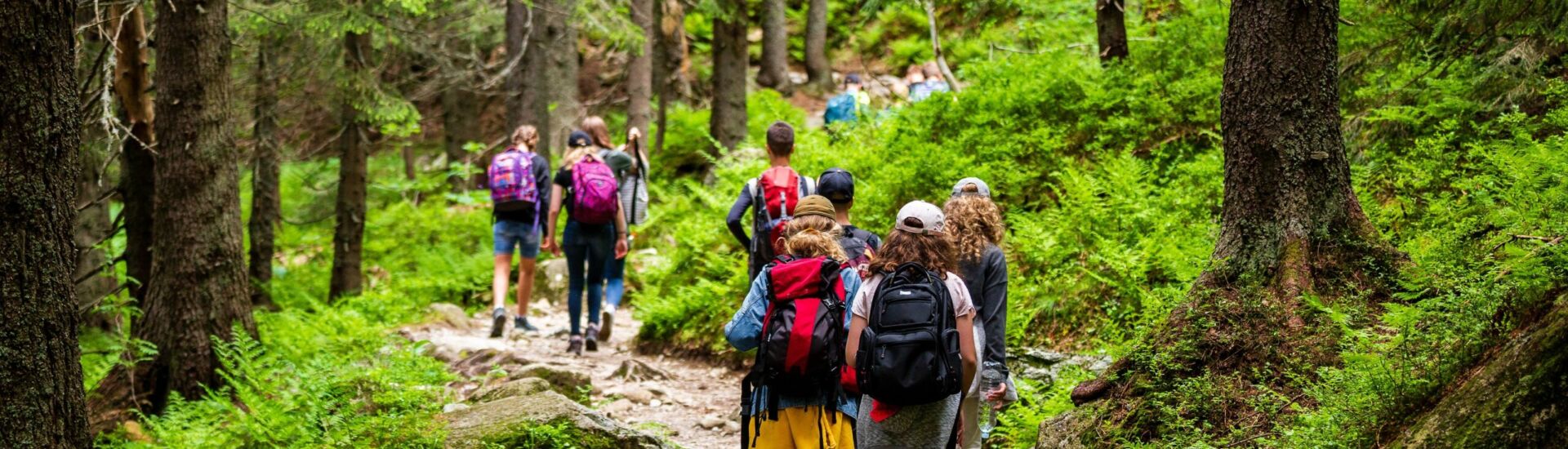 Young hikers in forest heading towards High Tatras peak