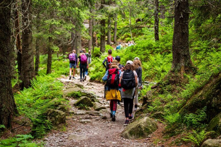 Young hikers in forest heading towards High Tatras peak