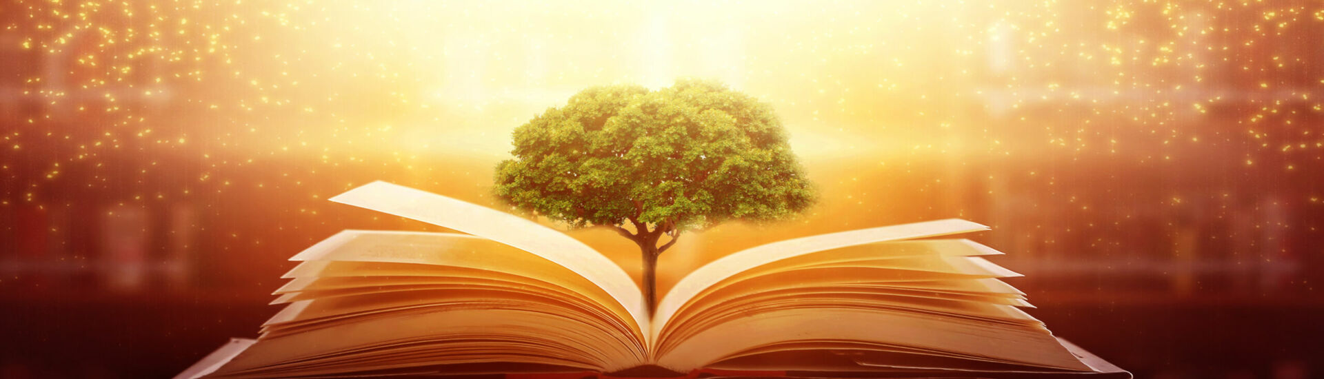 The concept of education by planting a tree of knowledge in the