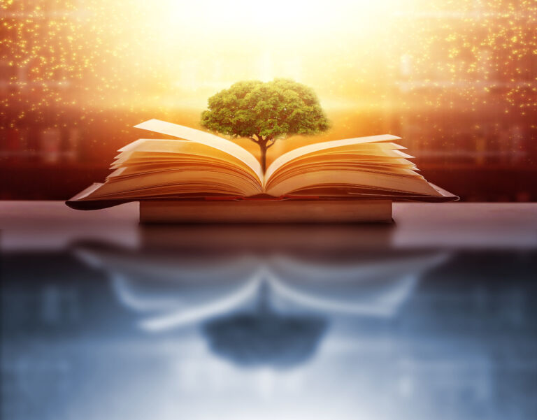 The concept of education by planting a tree of knowledge in the