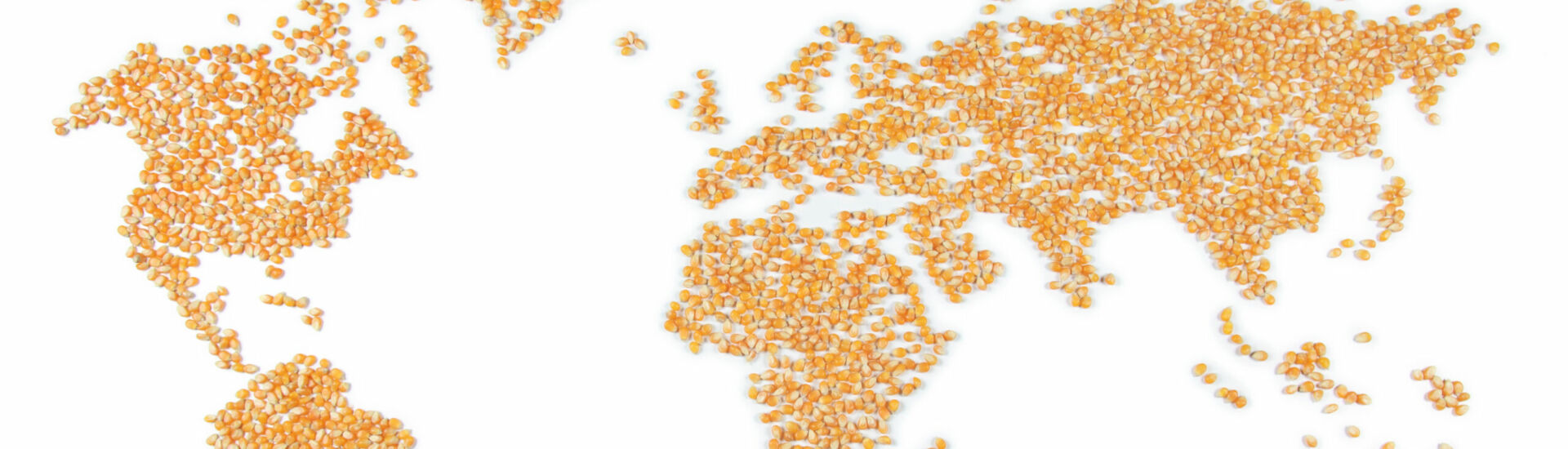 World map out of corn (food crisis)