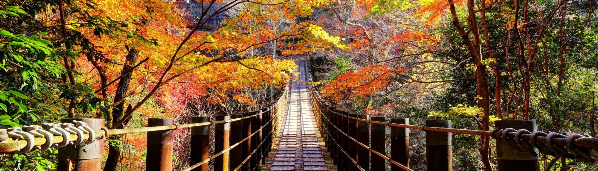 紅葉の花貫渓谷汐見滝吊橋