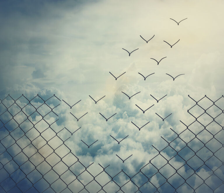 Surreal and magical escape as metallic wire mesh transforming in