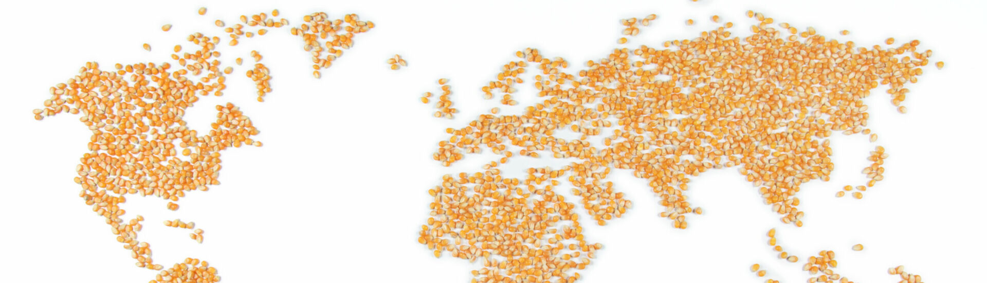 World map out of corn (food crisis)