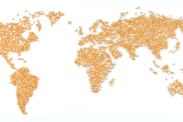 World map out of corn (food crisis)