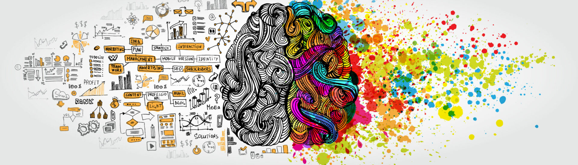 Left right human brain concept. Creative part and logic part with social and business doodle