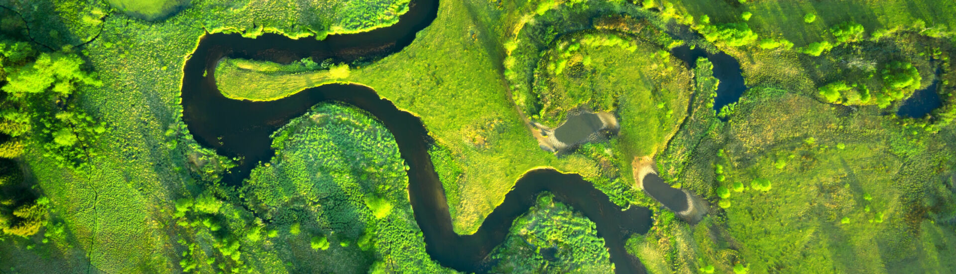 Ecology and environment concept. Green nature from above. Aerial