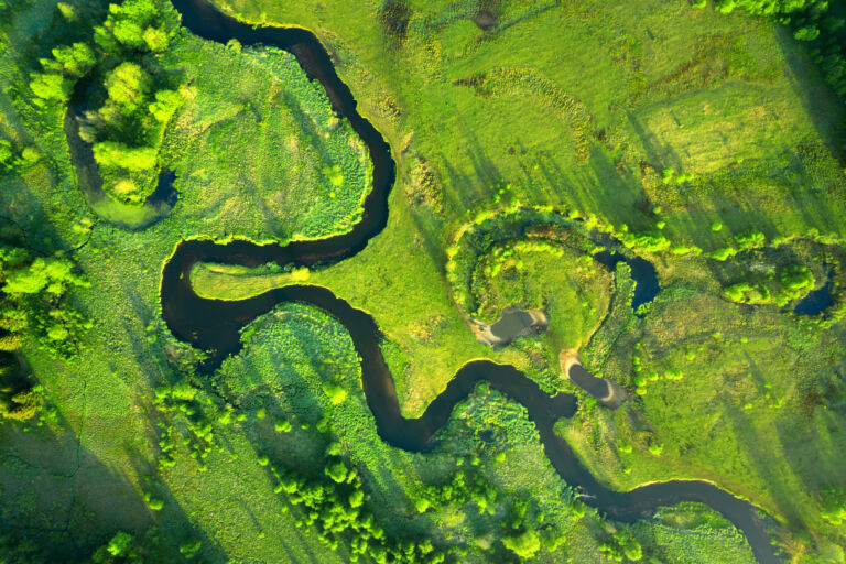 Ecology and environment concept. Green nature from above. Aerial
