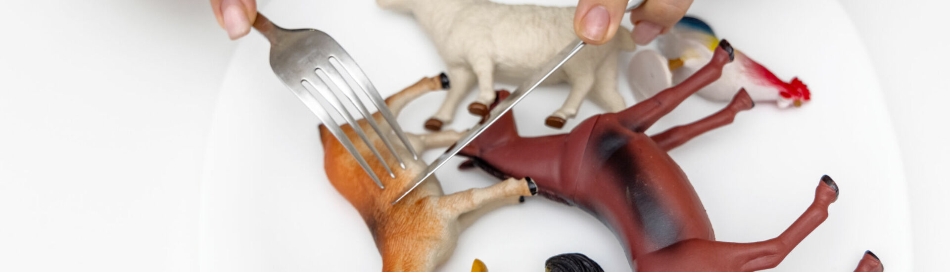 farm animals plastic toys in white plate and woman female hands