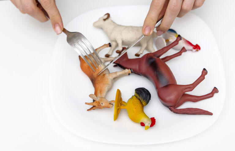 farm animals plastic toys in white plate and woman female hands