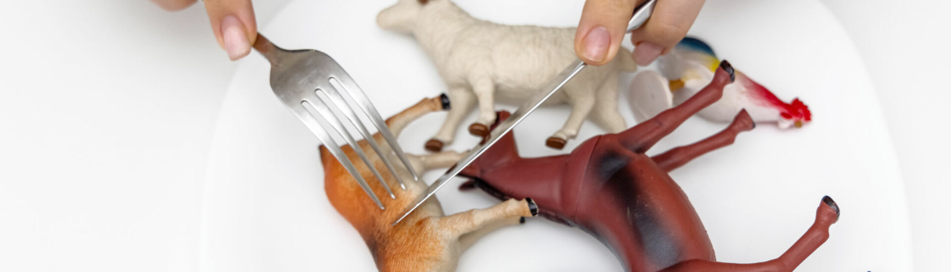 farm animals plastic toys in white plate and woman female hands