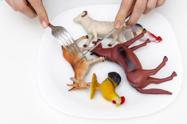 farm animals plastic toys in white plate and woman female hands