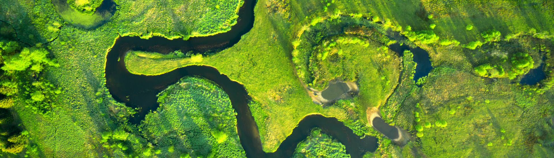 Ecology and environment concept. Green nature from above. Aerial