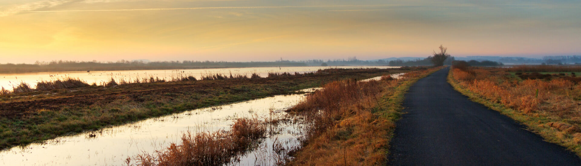 Feuchtbiotop im Naturpark Steinhuder Meer kurz nach Sonnenaufgang