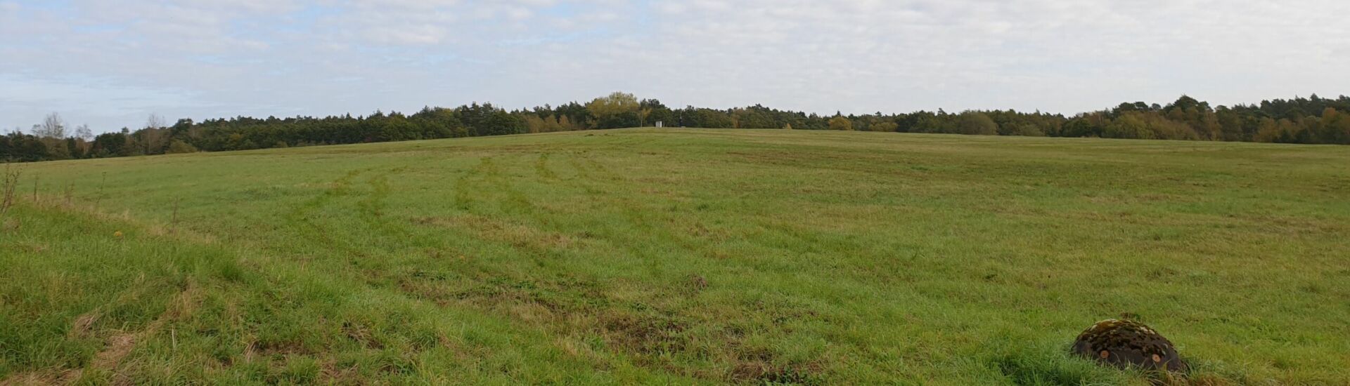 Deponiekörper von Südwesten 2020