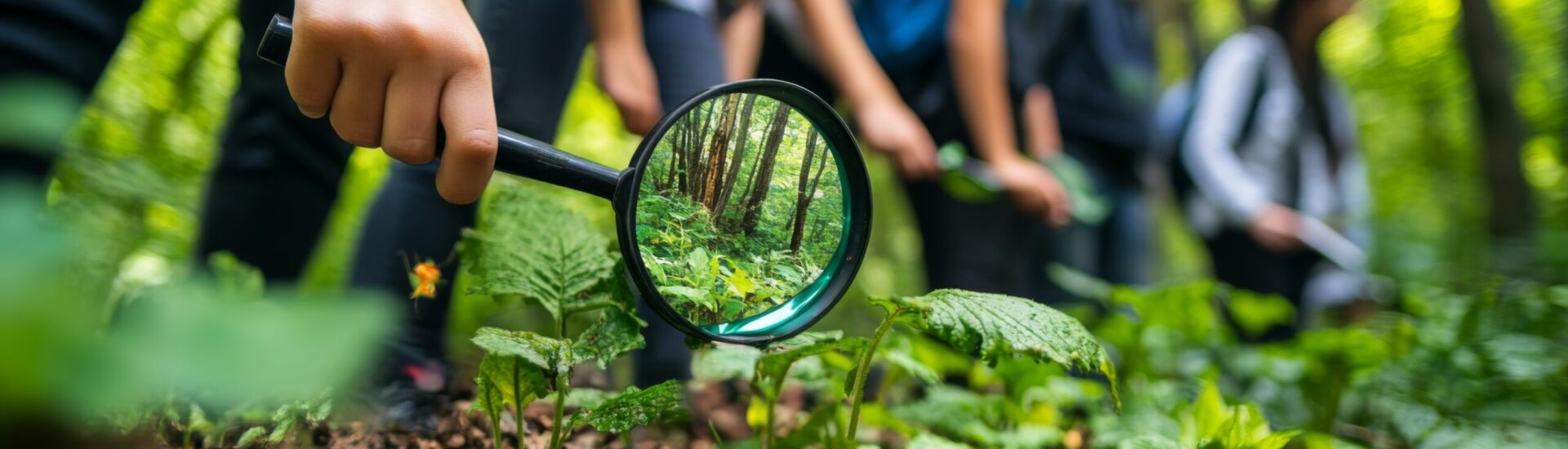 Group of Young Explorers Using Magnifying Glass to Examine Plants in a Lush Forest
