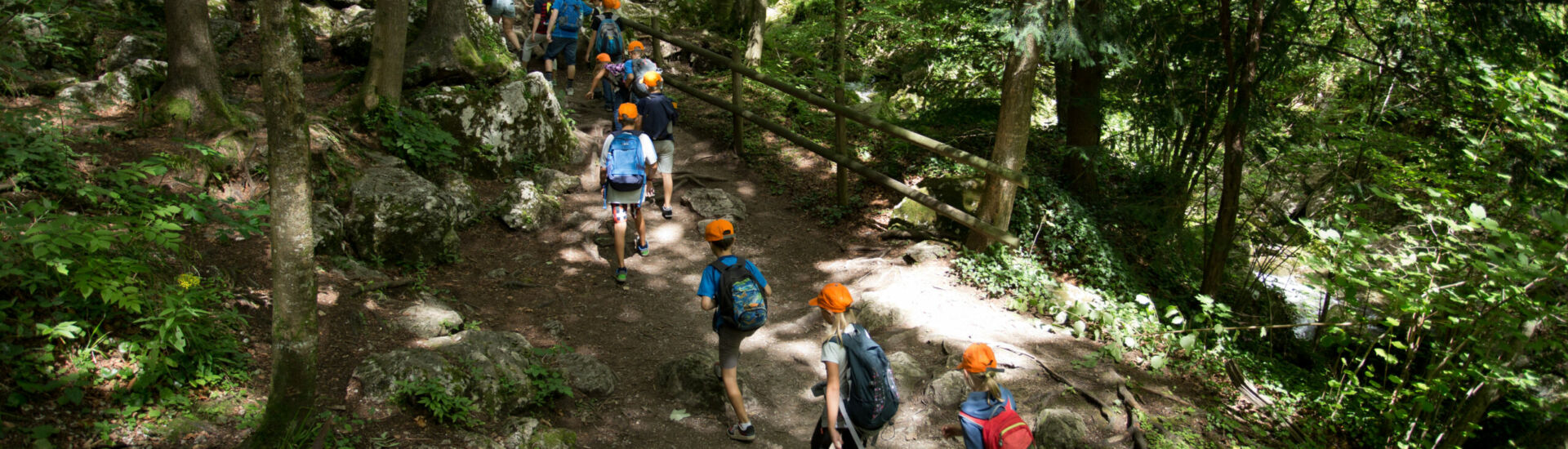School children in forest