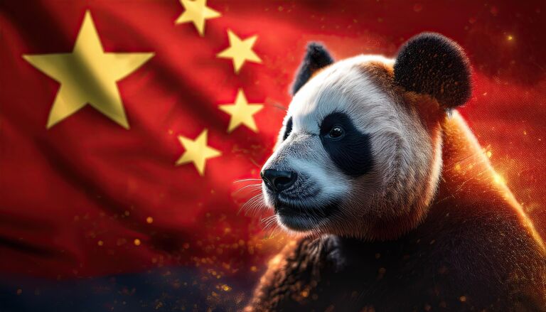 Panda Symbolizing Chin’s Rich Cultural Heritage