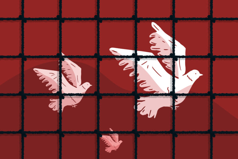 White pigeons behind bars, the concept of political prisoners, arrested oppositionists of the government, control and censorship