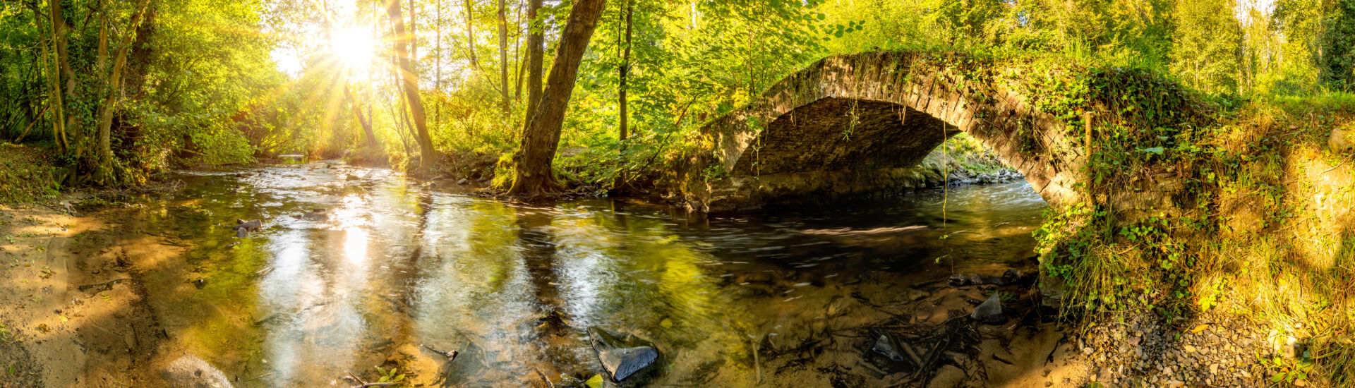 Old bridge over a creek in the forest with bright sun shining throug the trees