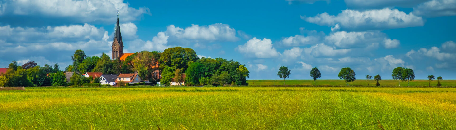 View over the fields to the village of Langwarden / Germany in Butjadingen